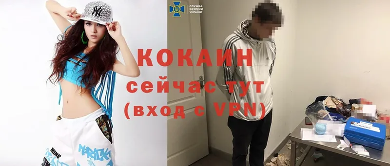 Cocaine VHQ  где найти наркотики  Губкин 